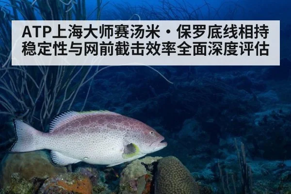 ATP上海大师赛汤米·保罗底线相持稳定性与网前截击效率全面深度评估